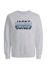 Jack & Jones Sudadera regular fit gris