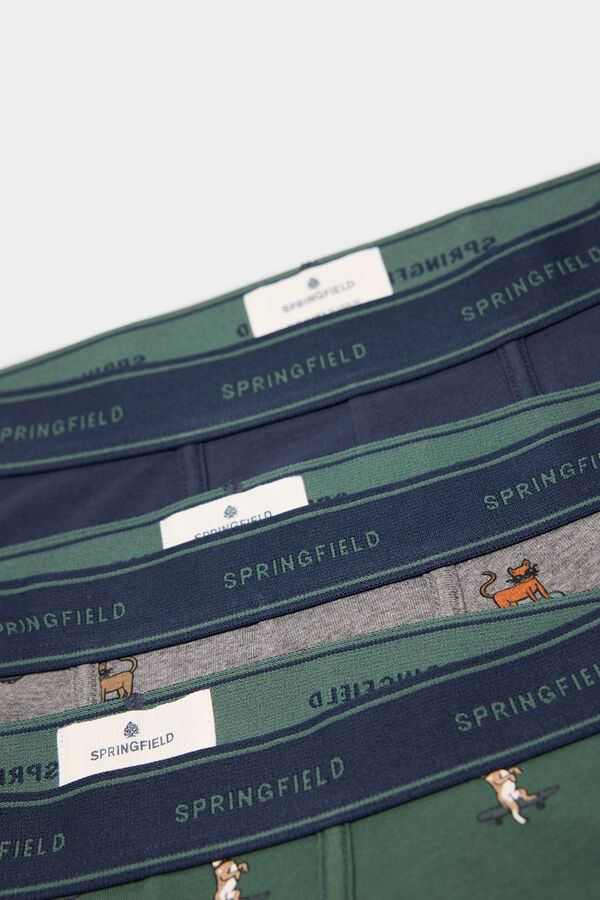 Springfield Pack 3 boxers animais em skate verde