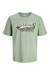 Jack & Jones PLUS Camiseta regular fit PLUS verde