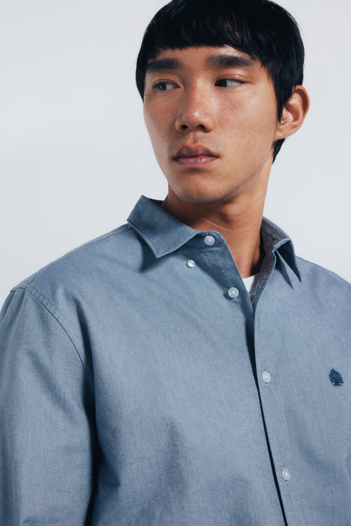 Springfield Camisa oxford