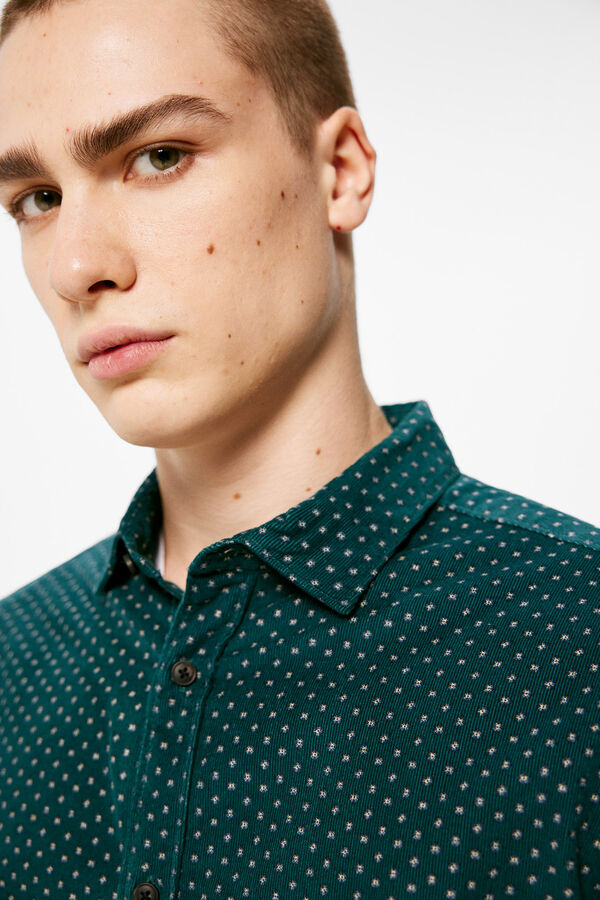 Springfield Camisa estampado microbombazina castanho