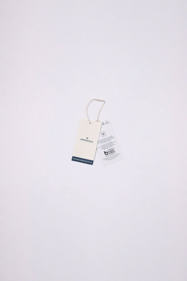 Springfield Camisa oxford riscas vermelho