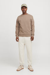 Jack & Jones Joggers regular fit gris