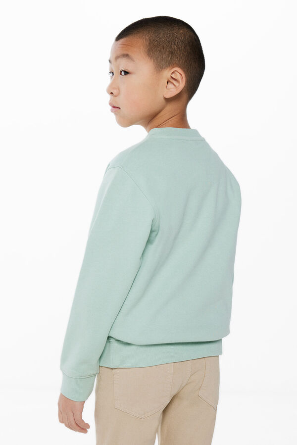 Springfield Kids Sweatshirt paisagem menino verde