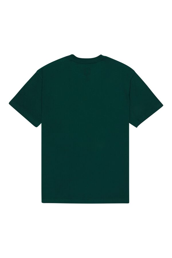 DC Shoes T-shirt de manga curta verde
