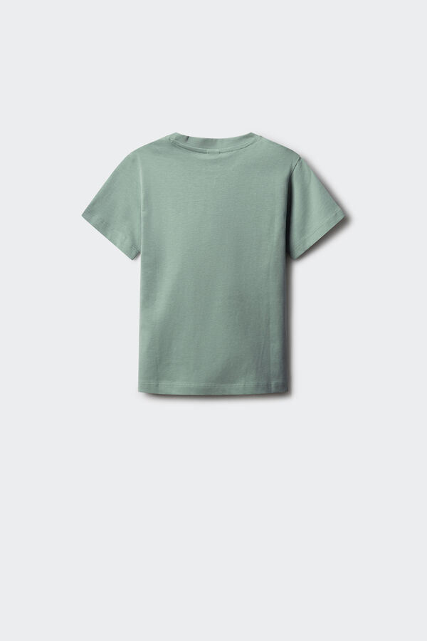 Springfield Kids Camiseta Palomitas ni&ntilde;o verde