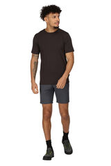 Regatta Bermudas Xert Stretch III cinzento