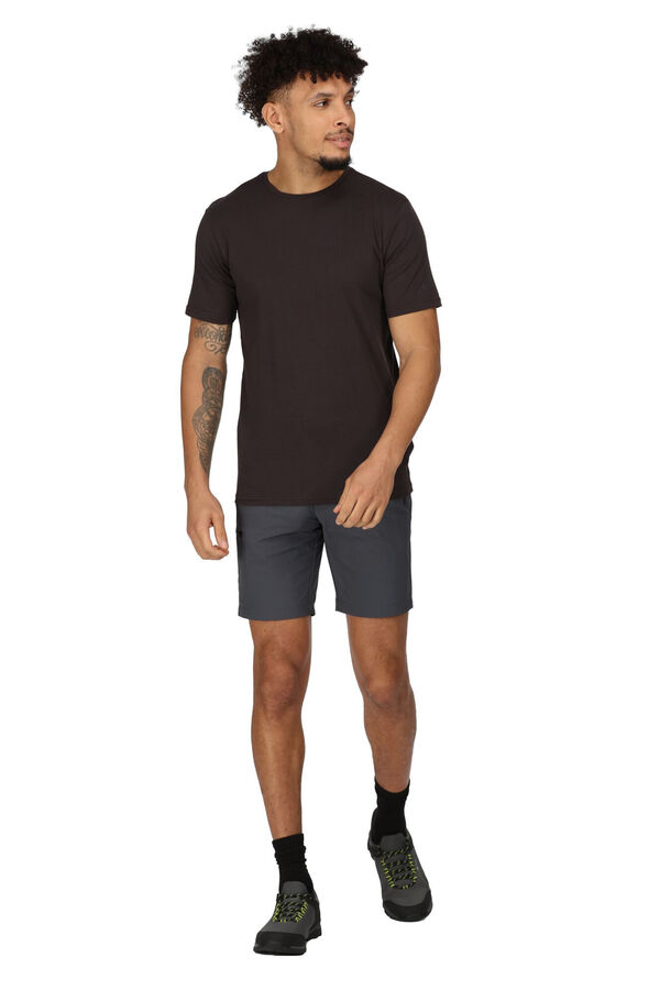Regatta Bermudas Xert Stretch III cinzento