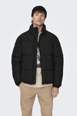 Only & Sons Abrigo acolchado negro