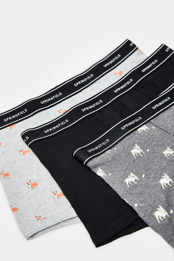 Springfield Pack 3 boxers cães preto