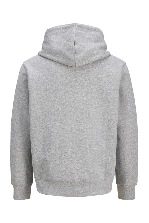 JJ REBEL Sudadera con capucha y estampado frontal gris