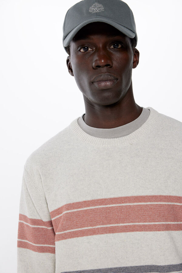 Springfield Jersey rayas color gris