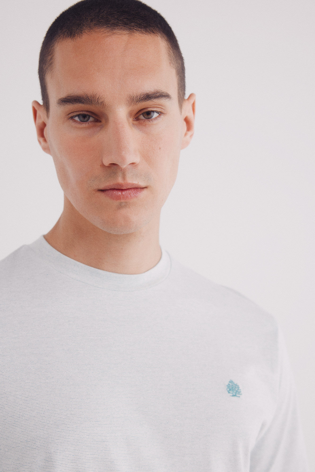 Springfield Camisola microrriscas