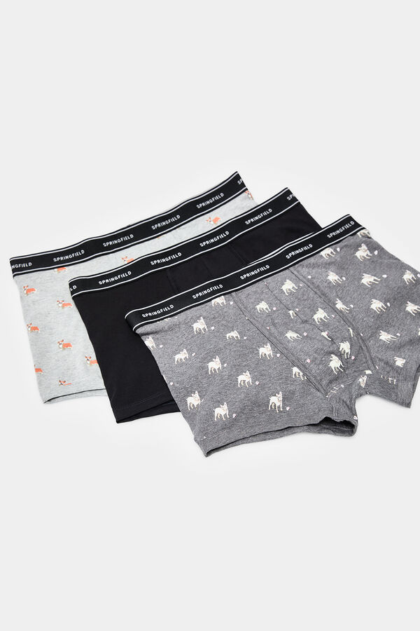 Springfield Pack 3 boxers cães preto