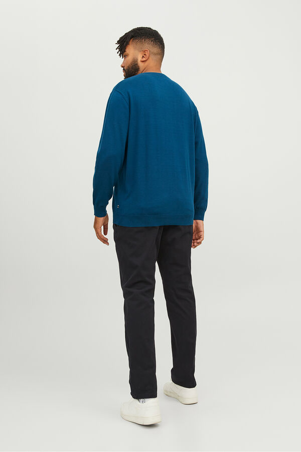 Jack & Jones PLUS Pantalón slim fit PLUS negro