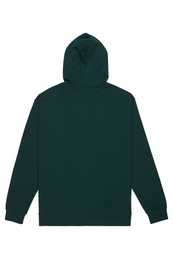 DC Shoes Sudadera con capucha hampden verde