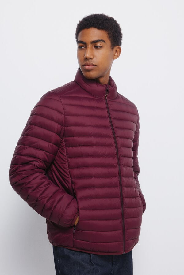 Springfield Chaqueta acolchada burdeos