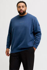 Jack & Jones PLUS Sweatshirt com capuz e logo azul
