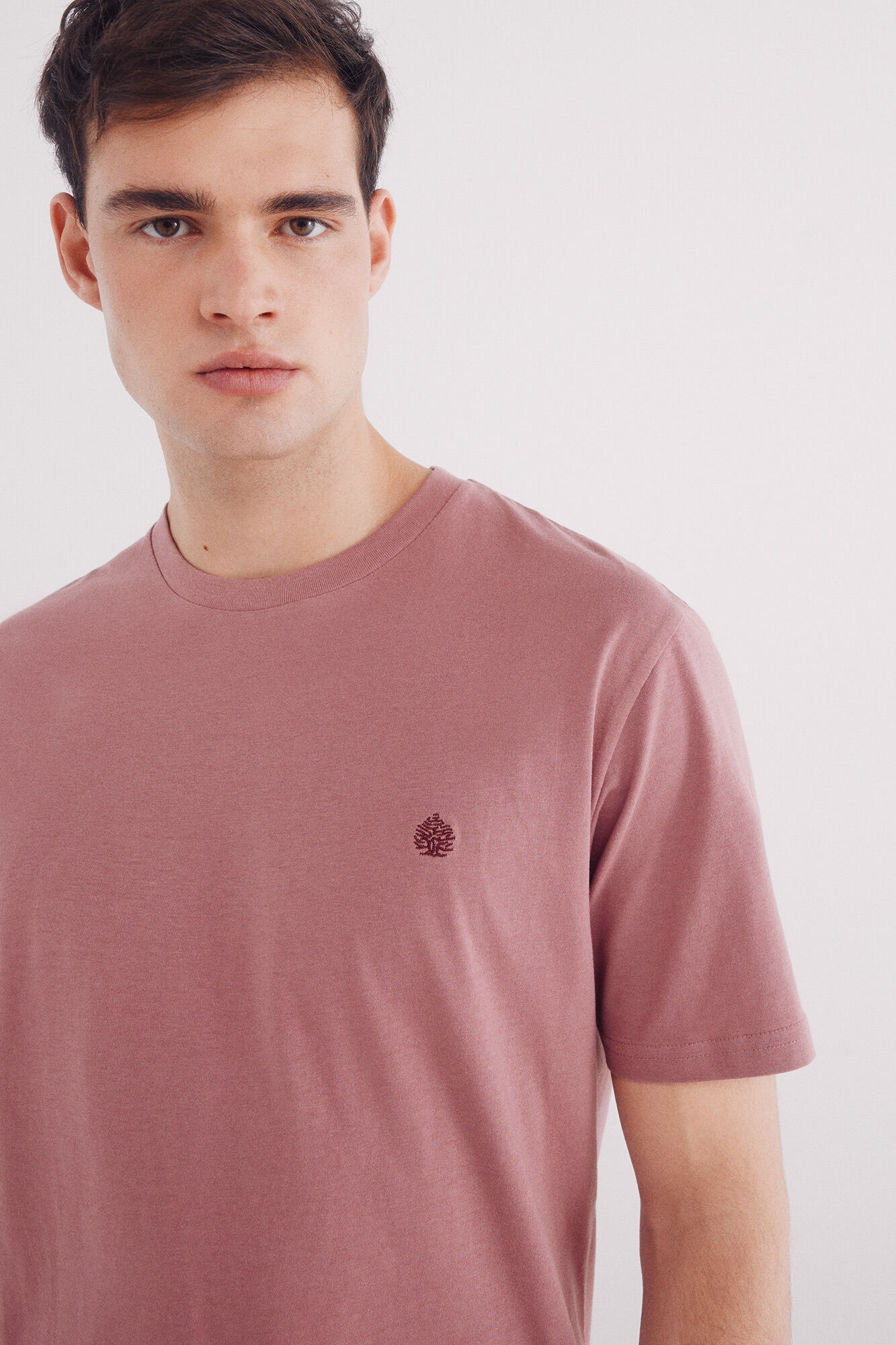 Springfield Camiseta b&aacute;sica com gola redonda