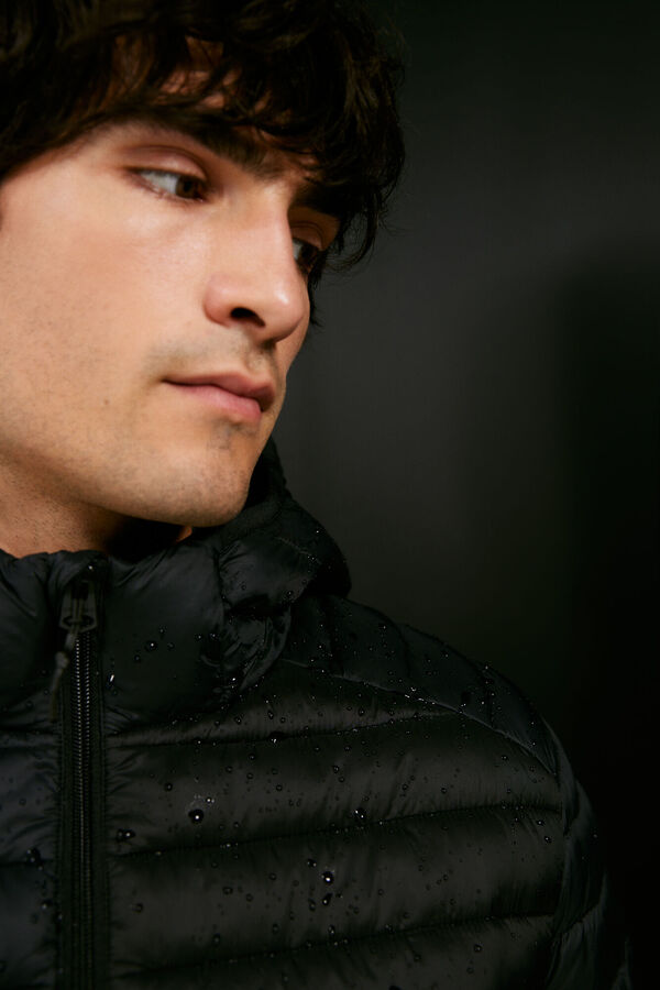 Springfield Casaco acolchoado capuz preto