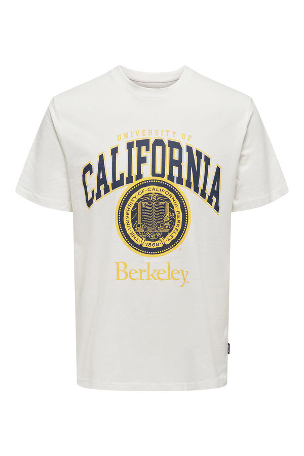 Springfield Camiseta Berkeley gris claro