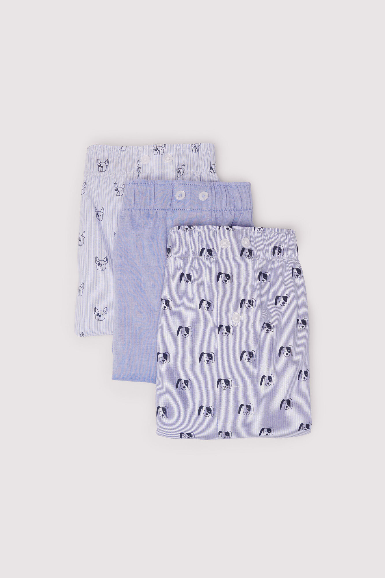 Springfield Pack 3 boxers perros