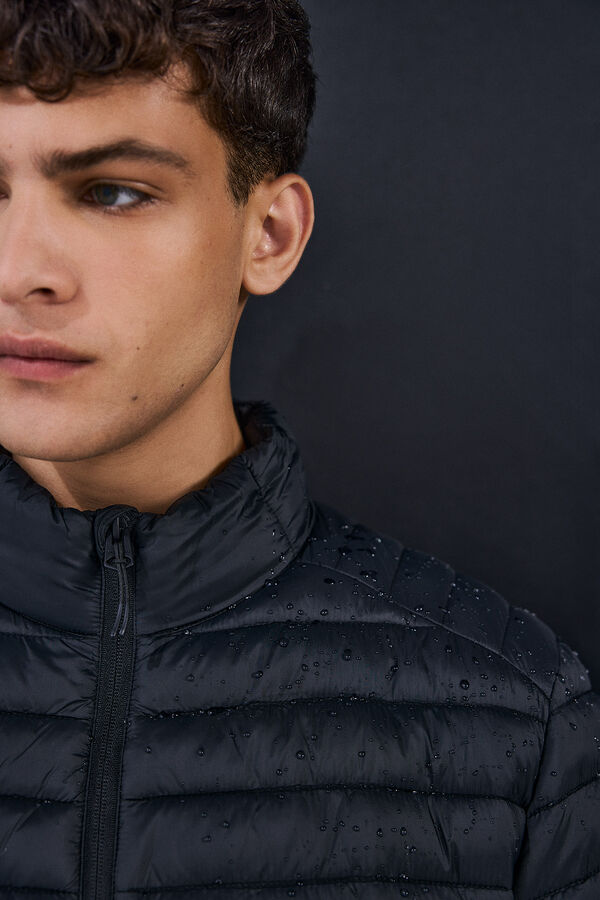 Springfield Chaqueta acolchada negro