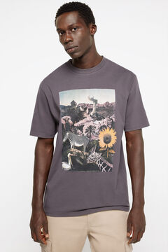 Springfield T-shirt estampada fotográfica mix cinza
