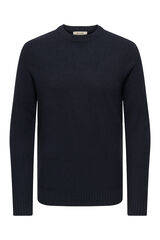 Only & Sons Jersey cuello redondo azul
