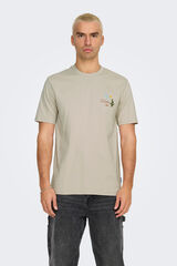 Only & Sons Camiseta de hombre regular fit. 100% algod&oacute;n org&aacute;nico. beige
