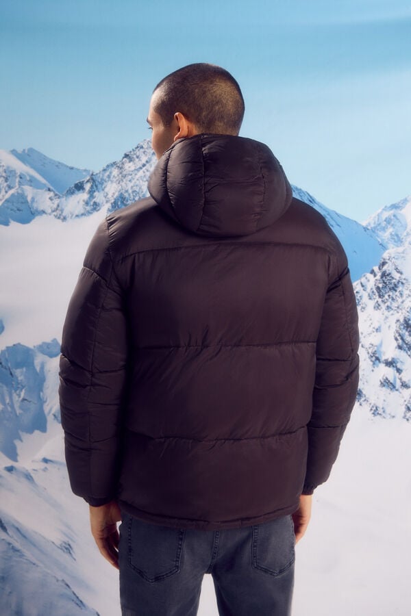 Springfield Casaco acolchoado térmico castanho