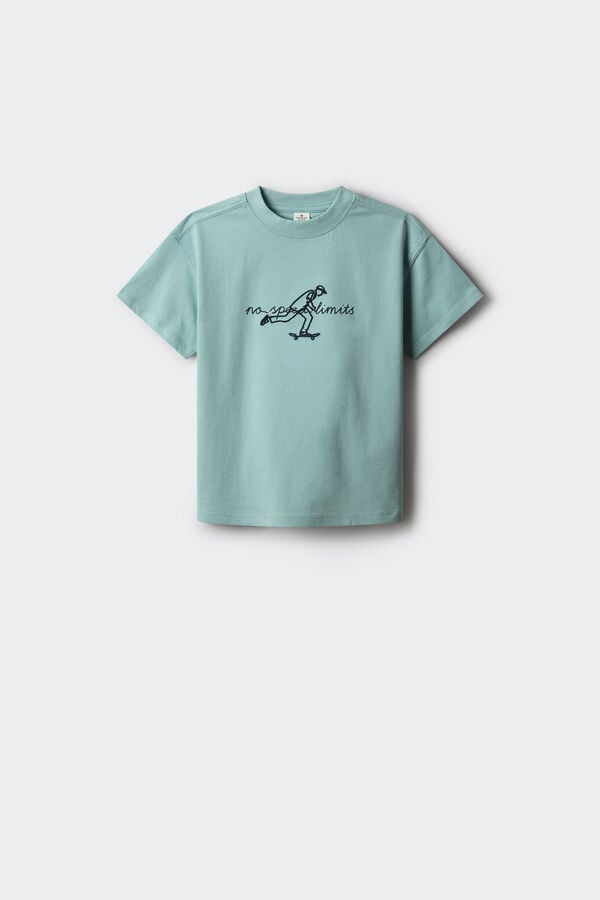 Springfield Kids Camiseta Skater ni&ntilde;o azul