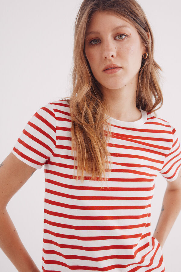 Springfield Camiseta rayas marineras rojo