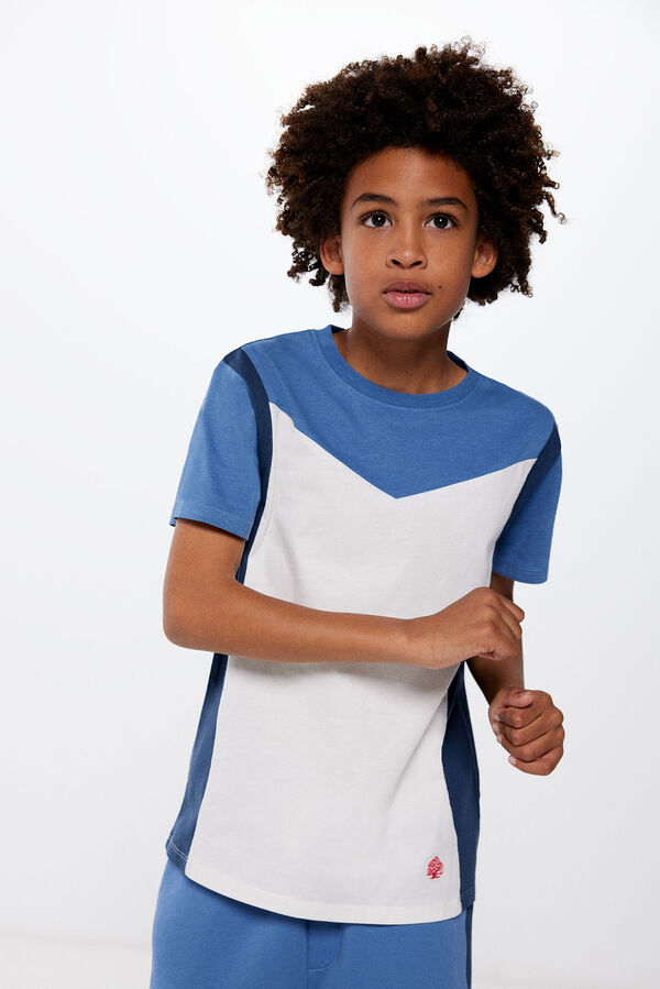 Springfield Kids Camiseta color block ni&ntilde;o estampado