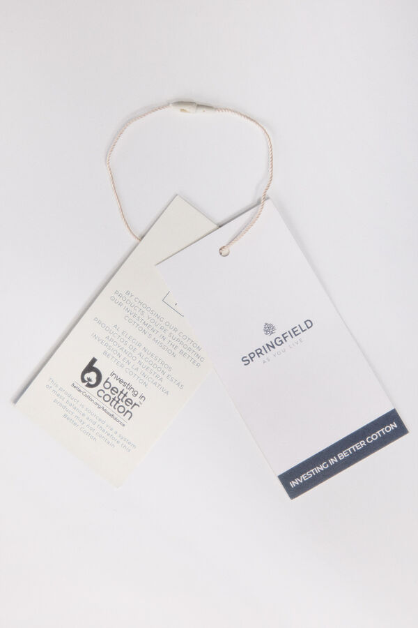 Springfield Camiseta "Mistic soul" gris