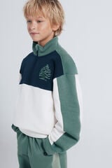 Springfield Kids Sudadera camionero cortes ni&ntilde;o blanco