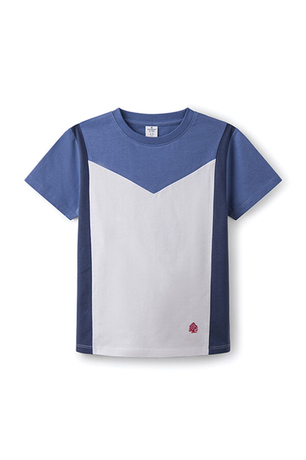 Springfield Kids Camiseta color block ni&ntilde;o estampado