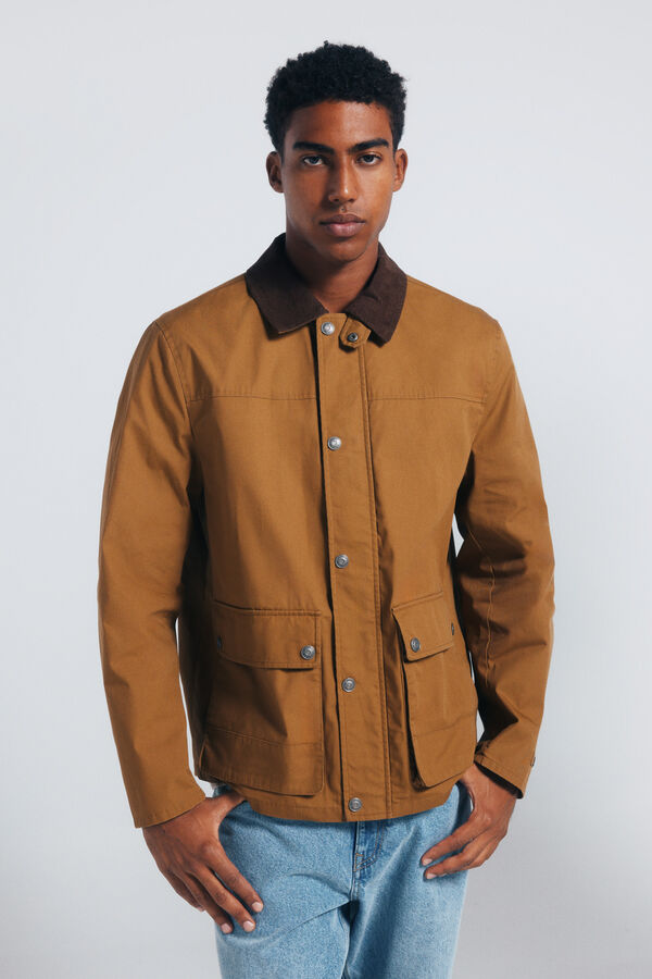 Springfield Parka corta cuello pana amarillo