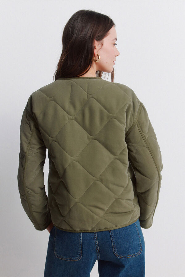 Springfield Casaco curto acolchoado verde Caqui escuro