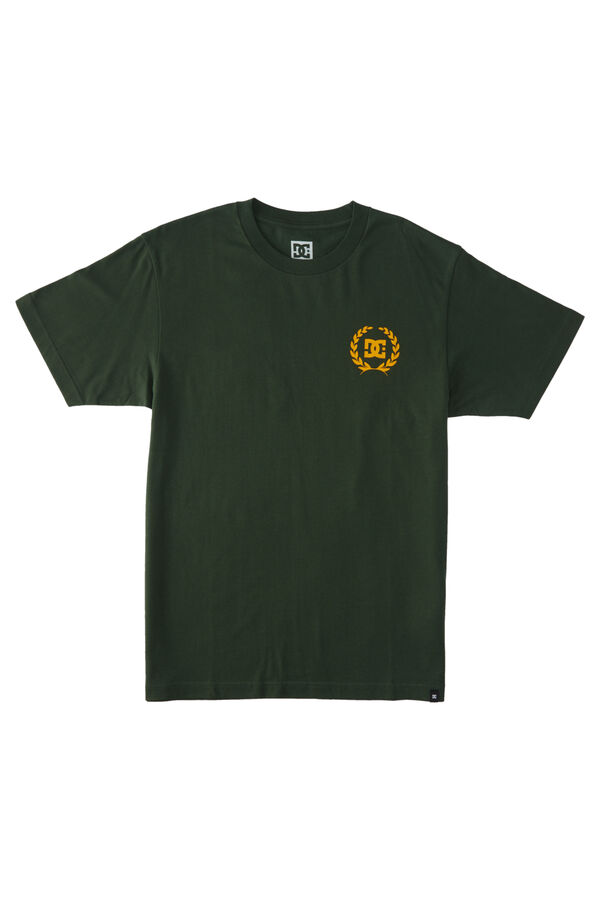 Springfield Lifes Changing - Camiseta para Hombre verde