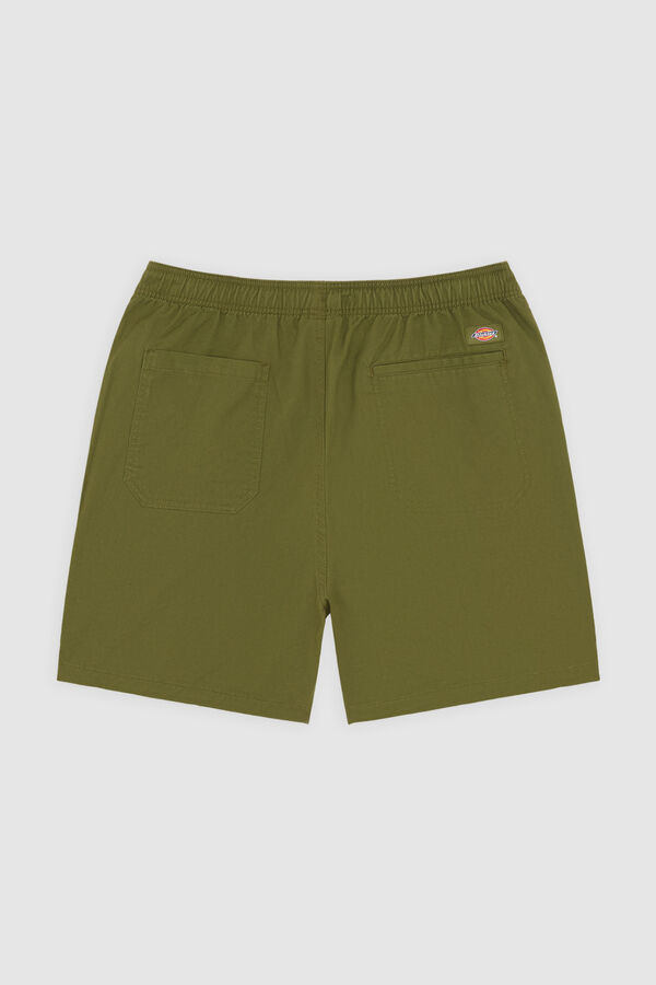 Dickies Cal&ccedil;&otilde;es Pelican Rapids verde