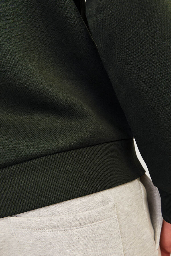 JJ REBEL Sudadera regular fit verde