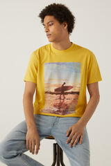 Springfield Camiseta surf amarillo