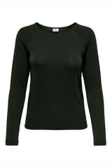 JDY T-shirt de manga comprida  verde