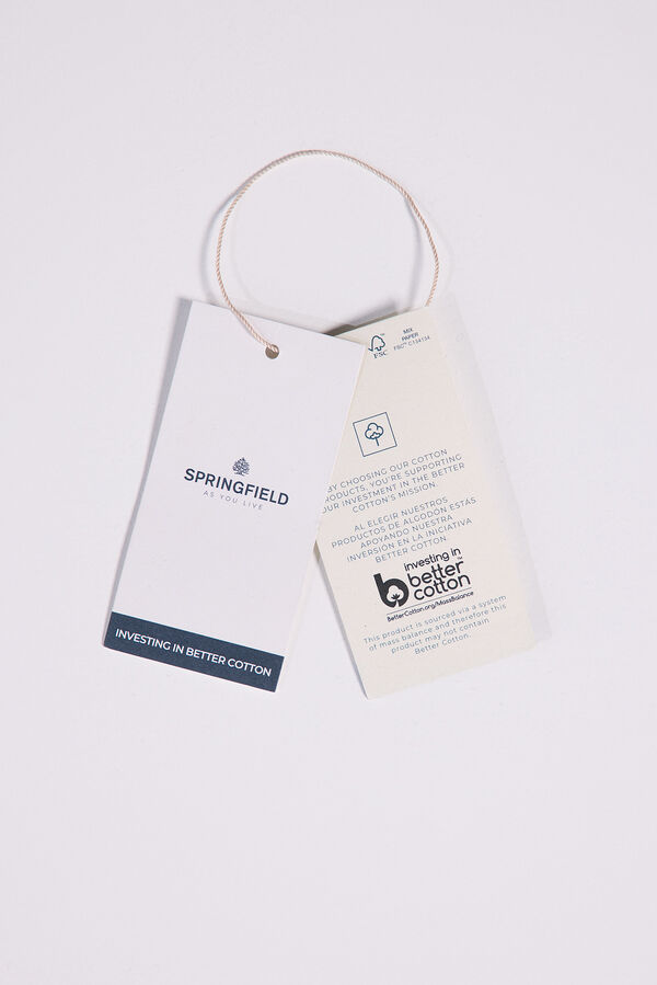 Springfield Camisa oxford riscas bordado azul