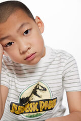Springfield Kids Camiseta Jurassic Park ni&ntilde;o verde