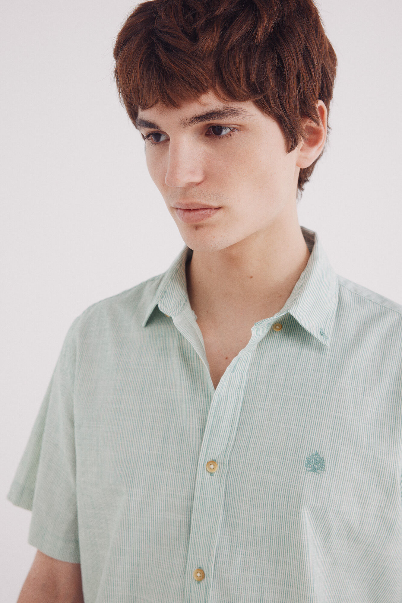 Springfield Camisa de algod&atilde;o de manga curta com micro listras