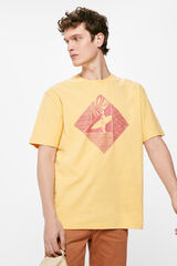 Springfield T-shirt surf terracotta