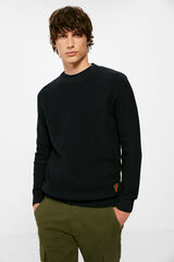 Springfield Jersey liso estructura azul