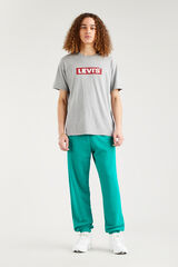 Levi's Camiseta Levis&reg; gris